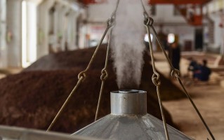 酿酒科技 茅台发力合成生物学：传统酿造与未来科技的融合