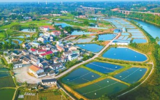 厚德路科技 自贡沿滩区厚德路开通满月 区域交通愈来愈通畅