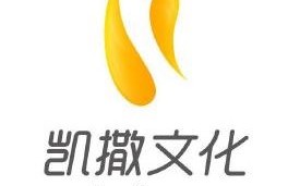 北京天锋网络科技有限公司 凯撒（中国）文化股份有限公司2017年年度报告摘要