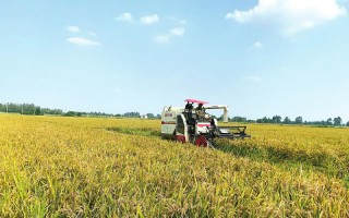 丰实科技电话 保障粮食安全，离不开大国粮仓的科技范儿