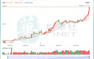 嘉和诚科技 暴涨44倍！净利持续亏损，美中嘉和还能疯狂多久？