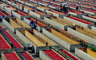 郫县的高科技 入选国家级重点培育名单！这勺郫县豆瓣藏着川味的“世界通行证”