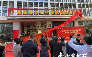 力信科技，力信科技有限公司怎么样