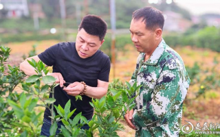 万谷科技 老树开新枝，袖珍园区种出“吨粮田”