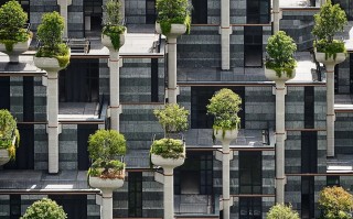 上海树实科技 重整计划悬空 有棵树控制权上演“罗生门”