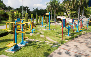 技术落实指导 广元昭化：猕猴桃的“出圈”秘诀